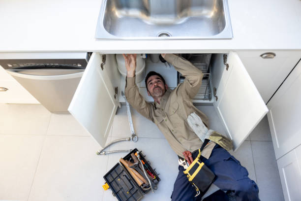 Best Commercial Plumbing Services  in Waverly, IL