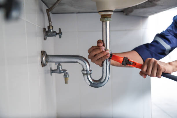 Best Leak Detection Services  in Waverly, IL