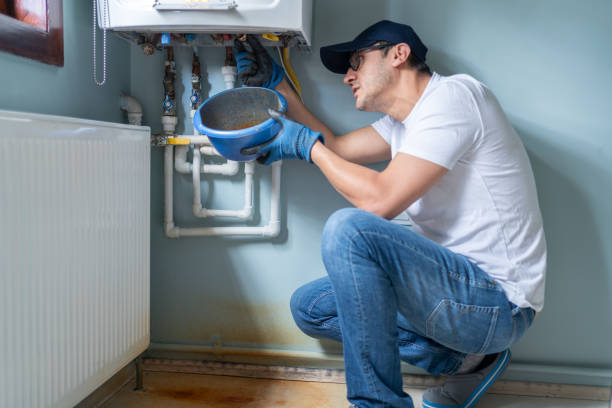 Best Same-Day Plumbing Service  in Waverly, IL